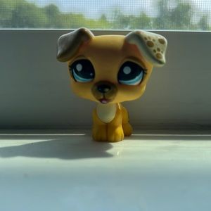 Lps Jack Russell /yellow